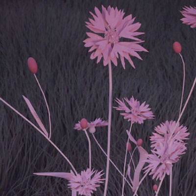 BOB·体育(中国)官方网站APP