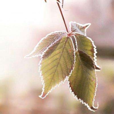 江南登录入口APP下载